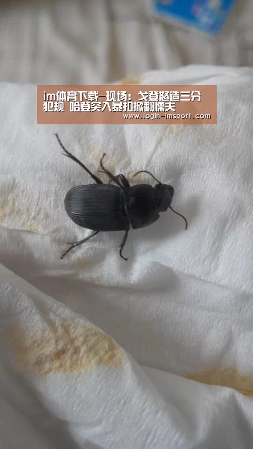 im体育下载-现场:戈登怒造三分犯规 哈登突入暴扣掀翻懦夫(图3) im体育投注