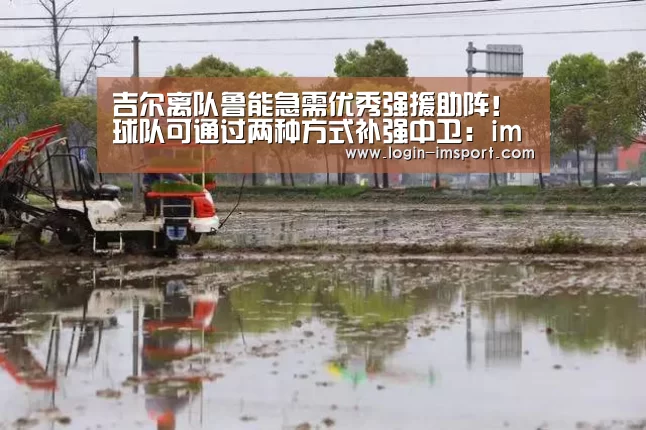吉尔离队鲁能急需优秀强援助阵！球队可通过两种方式补强中卫：i